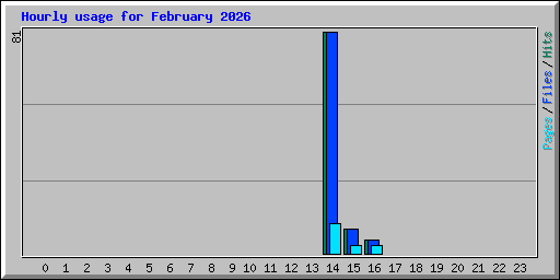 Hourly usage for February 2026