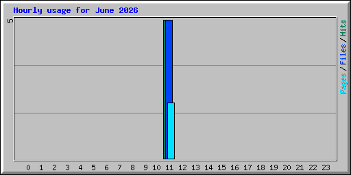 Hourly usage for June 2026