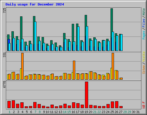 Daily usage for December 2024