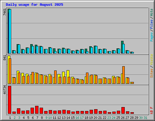 Daily usage for August 2025