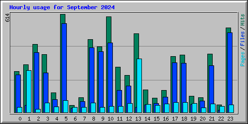 Hourly usage for September 2024