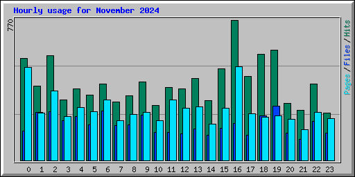 Hourly usage for November 2024