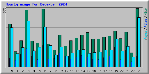 Hourly usage for December 2024