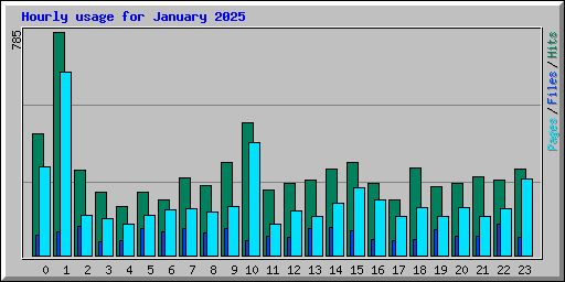 Hourly usage for January 2025