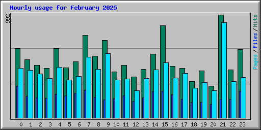 Hourly usage for February 2025