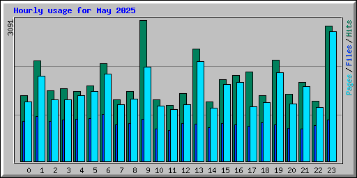 Hourly usage for May 2025