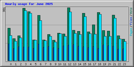 Hourly usage for June 2025