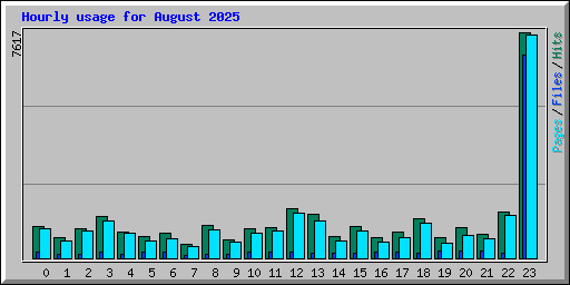 Hourly usage for August 2025
