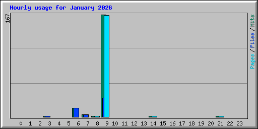 Hourly usage for January 2026