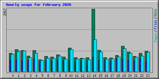 Hourly usage for February 2026