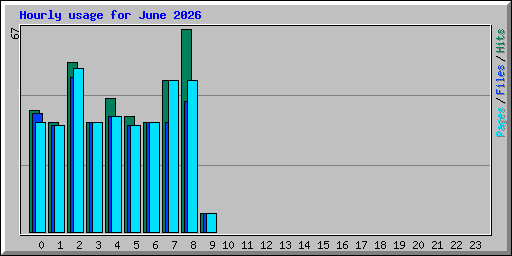 Hourly usage for June 2026