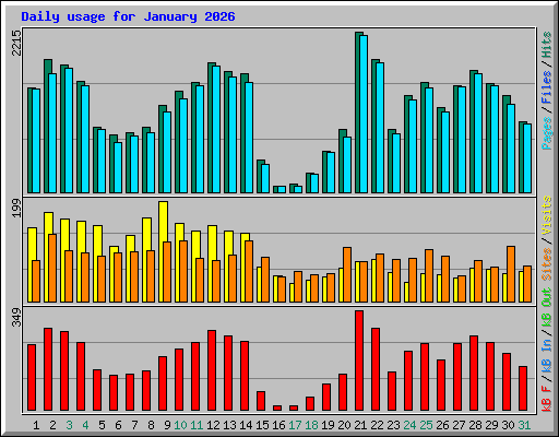 Daily usage for January 2026