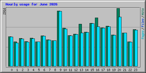 Hourly usage for June 2026