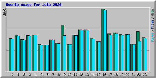 Hourly usage for July 2026